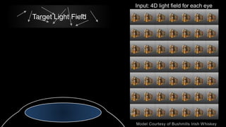 Target Light Field
Input: 4D light field for each eye
 