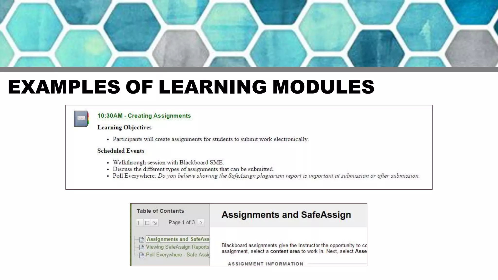 EXAMPLES OF LEARNING MODULES
 