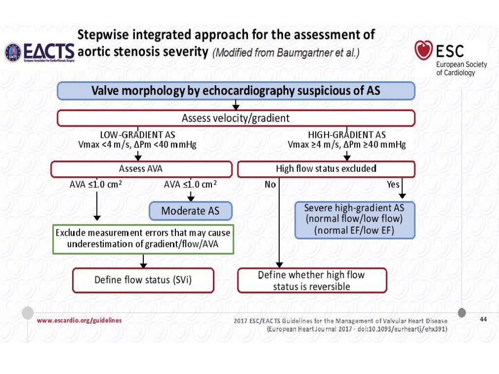 2017 esc eacts guidelines for the management of valvular heart dis…