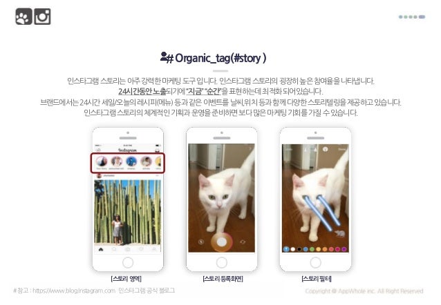 2017 상반기 인스타그램 트렌드_ instagram trend slideshare