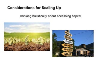 Considerations for Scaling Up
Thinking holistically about accessing capital
 
