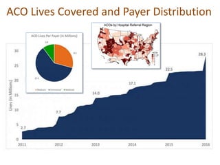 ACO Lives Covered and Payer Distribution
 