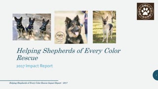 Helping Shepherds of Every Color
Rescue
2017 Impact Report
Helping Shepherds of Every Color Rescue Impact Report - 2017
1
 