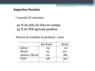 Aspectos Sociais
- A geração de empregos;
• 40 % da mão de obra no campo
• 35 % do PIB agrícola paulista
• Número de unidades de produção - 2006
São Paulo Brasil
Açúcar 03 20
Álcool 23 107
Açúcar e Álcool 112 186
Total 138 313
31
 