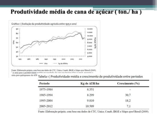 Produtividade média de cana de açúcar ( ton./ ha )
 