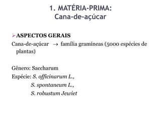 1. MATÉRIA-PRIMA:
Cana-de-açúcar
ASPECTOS GERAIS
Cana-de-açúcar  família gramíneas (5000 espécies de
plantas)
Gênero: Saccharum
Espécie: S. officinarum L.,
S. spontaneum L.,
S. robustum Jewiet
52
 