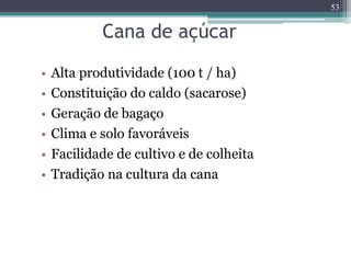 Cana de açúcar
• Alta produtividade (100 t / ha)
• Constituição do caldo (sacarose)
• Geração de bagaço
• Clima e solo favoráveis
• Facilidade de cultivo e de colheita
• Tradição na cultura da cana
53
 