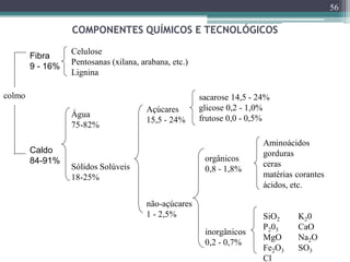 COMPONENTES QUÍMICOS E TECNOLÓGICOS
56
Fibra
9 - 16%
Caldo
84-91%
Celulose
Pentosanas (xilana, arabana, etc.)
Lignina
Água
75-82%
Sólidos Solúveis
18-25%
Açúcares
15,5 - 24%
não-açúcares
1 - 2,5%
sacarose 14,5 - 24%
glicose 0,2 - 1,0%
frutose 0,0 - 0,5%
orgânicos
0,8 - 1,8%
inorgânicos
0,2 - 0,7%
Aminoácidos
gorduras
ceras
matérias corantes
ácidos, etc.
SiO2 K20
P205 CaO
MgO Na2O
Fe2O3 SO3
Cl
colmo
 