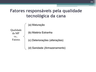 Fatores responsáveis pela qualidade
tecnológica da cana
59
(a) Maturação
(b) Matéria Estranha
(c) Deteriorações (alterações)
(d) Sanidade (Armazenamento)
Qualidade
da MP
vs..
Fatores
 
