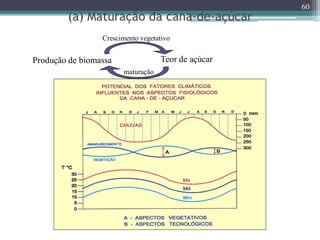 (a) Maturação da cana-de-açúcar
60
Produção de biomassa Teor de açúcar
Crescimento vegetativo
maturação
 