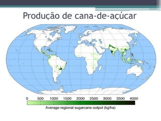 Produção de cana-de-açúcar
7
 