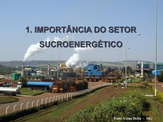 1
Foto: Usina Delta - MG
1. IMPORTÂNCIA DO SETOR
SUCROENERGÉTICO
 