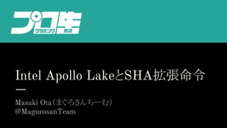 Intel Apollo LakeとSHA拡張命令
Masaki Ota（まぐろさんちーむ）
@MagurosanTeam
 