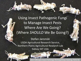Using Insect Pathogenic Fungi
to Manage Insect Pests
Where Are We Going?
(Where SHOULD We Be Going?)
Stefan Jaronski
USDA Agricultural Research Service,
Northern Plains Agricultural Research Lab
Sidney MT USA
2017 IOBCwprs Insect Pathology Working Group meeting, Tbilisi GE
 