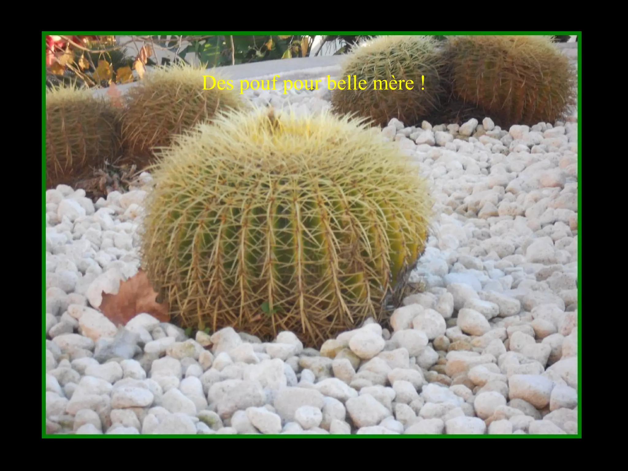 Des pouf pour belle mère !