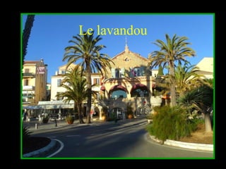 Le lavandou
 