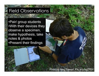 Photo by Meg Stewart, Flic.kr/p/bgZPBX
Field Observations
• Pair/ group students
• With their devices they
observe a speci...