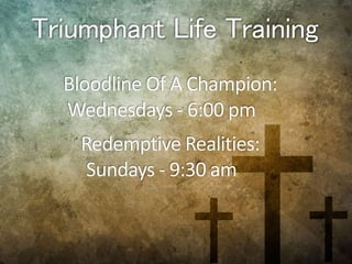 Triumphant Life Training
 