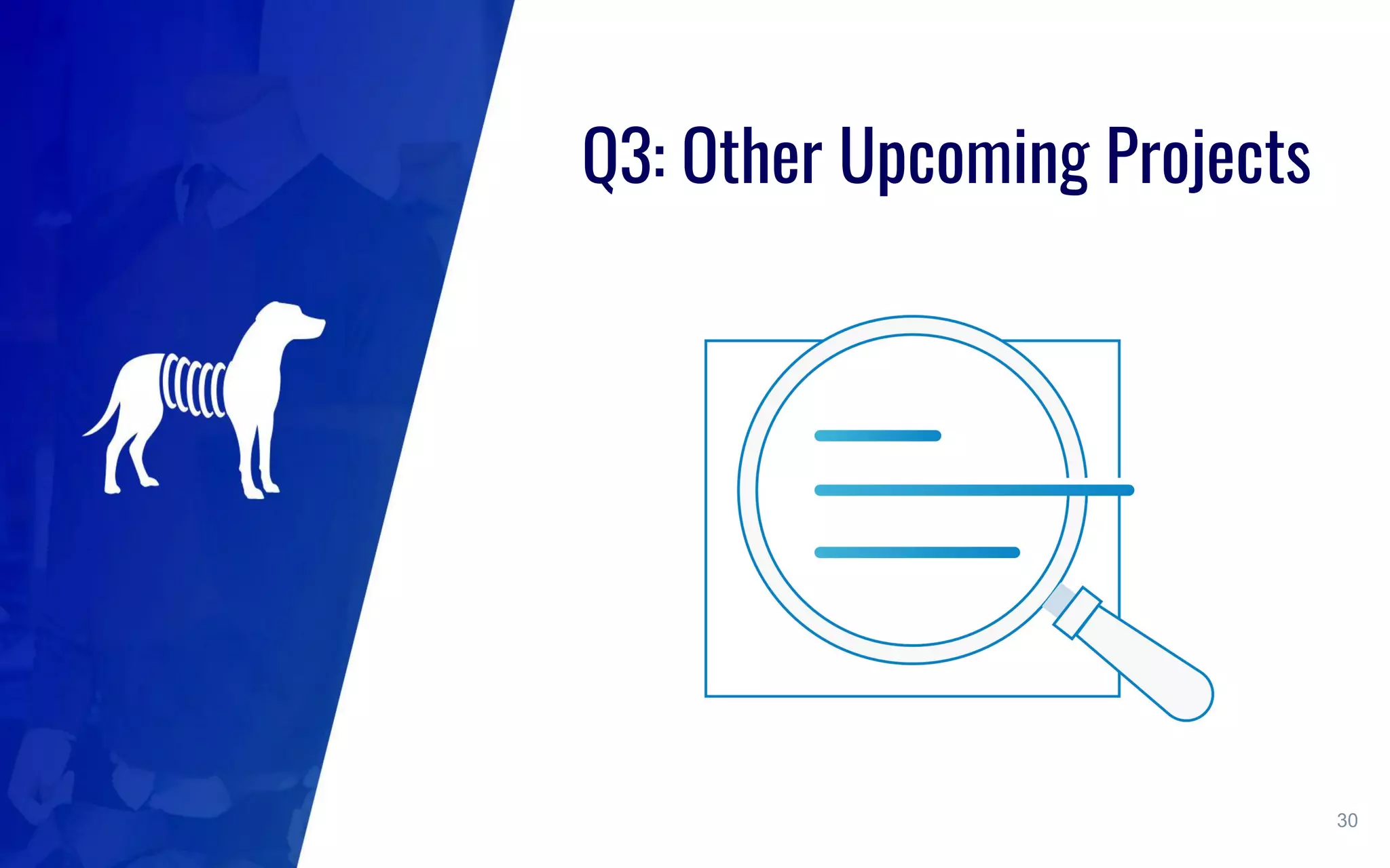 Q3: Other Upcoming Projects
30
 