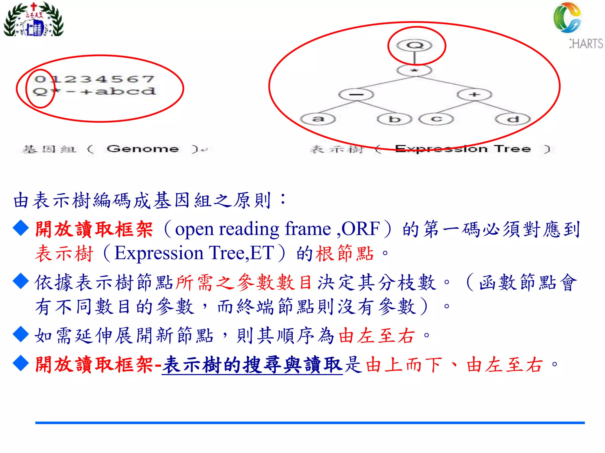 55
基因表示規劃法(2/3)
由表示樹編碼成基因組之原則：
開放讀取框架（open reading frame ,ORF）的第一碼必須對應到
表示樹（Expression Tree,ET）的根節點。
依據表示樹節點所需之參數數目決定其分枝數。（函數節點會
有不同數目的參數，而終端節點則沒有參數）。
如需延伸展開新節點，則其順序為由左至右。
開放讀取框架-表示樹的搜尋與讀取是由上而下、由左至右。
 
