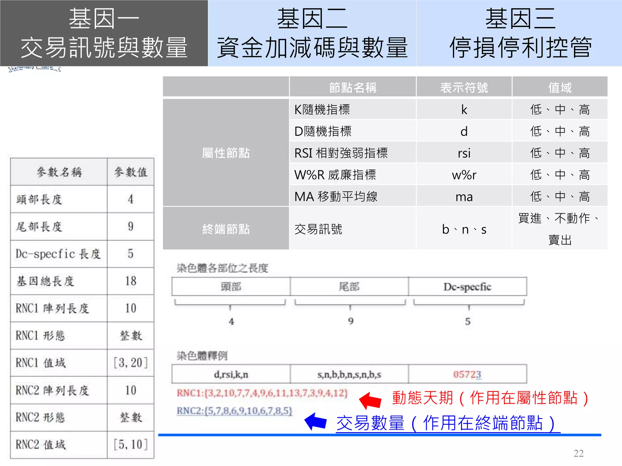節點名稱 表示符號 值域
屬性節點
K隨機指標 k 低、中、高
D隨機指標 d 低、中、高
RSI 相對強弱指標 rsi 低、中、高
W%R 威廉指標 w%r 低、中、高
MA 移動平均線 ma 低、中、高
終端節點 交易訊號 b、n、s
買進、不動作、
賣出
22
基因一
交易訊號與數量
基因二
資金加減碼與數量
基因三
停損停利控管
動態天期（作用在屬性節點）
交易數量（作用在終端節點）
 