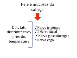 Dor,	
  tato	
  
discriminativo,	
  
pressão,	
  
temperatura	
  
Pele	
  e	
  mucosas	
  da	
  
cabeça	
  
V	
  Nervo	
  trigêmeo	
  
VII	
  Nervo	
  facial	
  
IX	
  Nervo	
  glossofaríngeo	
  
X	
  Nervo	
  vago	
  
 