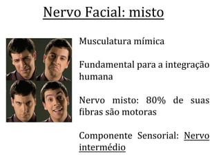 Nervo	
  Facial:	
  misto	
  
	
  Musculatura	
  mímica	
  
	
  
Fundamental	
  para	
  a	
  integração	
  
humana	
  
	
  
Nervo	
   misto:	
   80%	
   de	
   suas	
  
Libras	
  são	
  motoras	
  
	
  
Componente	
   Sensorial:	
   Nervo	
  
intermédio	
  
	
  
 