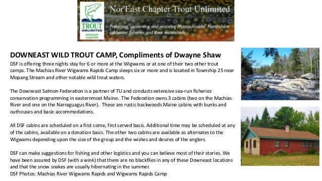 2017 Nor East Trout Unlimited Auction Trips