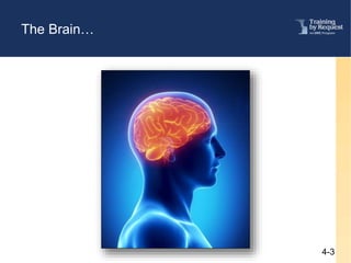 2017 neurobiology of trauma and Sexual Assault | PPTX