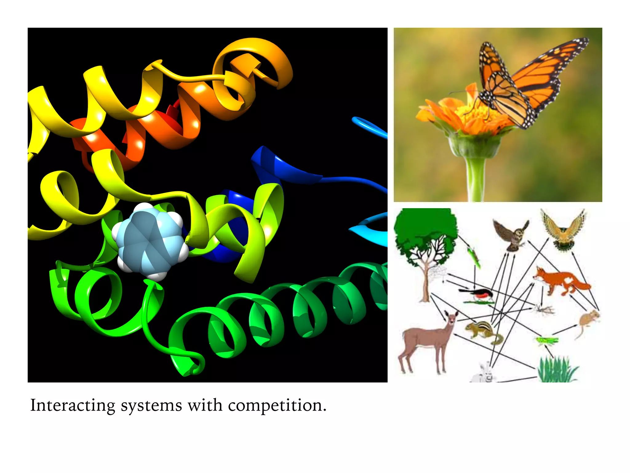 Interacting systems with competition.
 