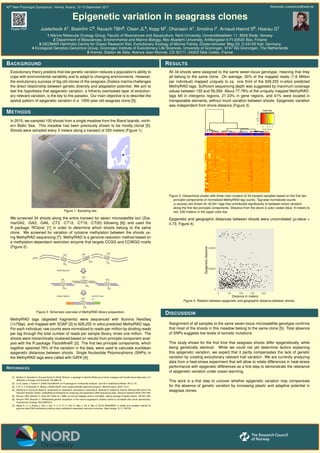 40th
New Phytologist Symposium, Vienna, Austria, 12-15 September 2017 Alexander-Jueterbock@web.de
Poster PDF
Epigenetic variation in seagrass clones
Jueterbock A1
, Bostr¨om C2
, Reusch TBH3
, Olsen JL4
, Kopp M1
, Dhanasiri A1
, Smolina I1
, Arnaud-Haond S5
, Hoarau G1
1 Marine Molecular Ecology Group, Faculty of Biosciences and Aquaculture, Nord University, Universitetsalleen 11, 8026 Bodø, Norway
2 Department of Biosciences, Environmental and Marine Biology, ˚Abo Akademi University, Artillerigatan 6 FI-20520 ˚Abo, Finland
3 GEOMAR Helmholtz-Centre for Ocean Research Kiel, Evolutionary Ecology of Marine Fishes, D¨usternbrooker Weg 20, D-24105 Kiel, Germany
4 Ecological Genetics-Genomics Group, Groningen Institute of Evolutionary Life Sciences, University of Groningen, 9747 AG Groningen, The Netherlands
5 Ifremer, Station de S`ete, Avenue Jean Monnet, CS 30171, 34203 S`ete Cedex, France
BACKGROUND
Evolutionary theory predicts that low genetic variation reduces a population’s ability to
cope with environmental variability and to adapt to changing environments. However,
the evolutionary success of big old clones of the seagrass Zostera marina challenges
the direct relationship between genetic diversity and adaptation potential. We aim to
test the hypothesis that epigenetic variation, a hitherto overlooked layer of evolution-
ary relevant variation, is the key to this paradox. Our main objective is to describe the
spatial pattern of epigenetic variation in a 1000-year old seagrass clone [5].
METHODS
In 2015, we sampled 100 shoots from a single meadow from the ˚Aland Islands, north-
ern Baltic Sea. This meadow has been previously shown to be mostly clonal [5].
Shoots were sampled every 3 meters along a transect of 250 meters (Figure 1).
Figure 1: Sampling site.
We screened 34 shoots along the entire transect for seven microsatellite loci (Zos-
marGA2, -GA3, -GA6, -CT3, -CT12, -CT19, -CT20) following [6]) and used the
R package ’RClone’ [1] in order to determine which shoots belong to the same
clone. We screened for variation of cytosine methylation between the shoots us-
ing MethylRAD sequencing [7]. MethylRAD is a genome-reduction method based on
a methylation-dependant restriction enzyme that targets CCGG and CCWGG motifs
(Figure 2).
Figure 2: Schematic overview of MethylRAD library preparation.
MethylRAD tags (digested fragments) were sequenced with Illumina NextSeq
(1x75bp), and mapped with SOAP [3] to 628,255 in silico predicted MethylRAD tags.
For each individual, raw counts were normalized to reads-per-million by dividing reads
per tag through the total number of reads per sample library, times one million. The
shoots were hierarchically clustered based on results from principle component anal-
ysis with the R package ’FactoMineR’ [2]. The ﬁrst two principle components, which
together eplained 79% of the variation in the data, were used to calculate euclidean
epigenetic distances between shoots. Single Nucleotide Polymorphisms (SNPs) in
the MethylRAD tags were called with GATK [4].
REFERENCES
[1] Bailleul D, Stoeckel S, Arnaud-Haond S (2016) RClone: a package to identify MultiLocus Clonal Lineages and handle clonal data sets in R.
Methods in Ecology and Evolution 7(8):966-70.
[2] Le S, Josse J, Husson F (2008) FactoMineR: an R package for multivariate analysis. Journal of statistical software. 25(1):1-8.
[3] Li R, Li Y, Kristiansen K, Wang J (2008) SOAP: short oligonucleotide alignment program. Bioinformatics. 24(5):713-4.
[4] McKenna A, Hanna M, Banks E, Sivachenko A, Cibulskis K, Kernytsky A, Garimella K, Altshuler D, Gabriel S, Daly M, DePristo MA (2010) The
Genome Analysis Toolkit: a MapReduce framework for analyzing next-generation DNA sequencing data. Genome research 20(9):1297-303.
[5] Reusch TBH, Bostr¨om C, Stam WT, Olsen JL (1999). An ancient eelgrass clone in the Baltic. Marine Ecology Progress Series. 183:301-304.
[6] Reusch TBH, Bostr¨om C. Widespread genetic mosaicism in the marine angiosperm Zostera marina is correlated with clonal reproduction.
Evolutionary Ecology. 25(4):899-913.
[7] Wang S, Lv J, Zhang L, Dou J, Sun Y, Li X, Fu X, Dou H, Mao J, Hu X, Bao Z (2015) MethylRAD: a simple and scalable method for
genome-wide DNA methylation proﬁling using methylation-dependent restriction enzymes. Open biology. 5(11):150130
RESULTS
All 34 shoots were assigned to the same seven-locus genotype, meaning that they
all belong to the same clone. On average, 30% of the mapped reads (1-6 Million
per individual) mapped uniquely to ca. one third of the 628,255 in-silico predicted
MethylRAD tags. Sufﬁcient sequencing depth was suggested by maximum coverage
values between 155 and 59,359. About 77-78% of the uniquely mapped MethylRAD-
tags fell in intergenic regions, 21-23% in gene regions, and 41% were located in
transposable elements, without much variation between shoots. Epigenetic variation
was independent from shore-distance (Figure 3).
Figure 3: Hierarchical cluster with three main clusters of 34 transect-samples based on the ﬁrst two
principle components of normalized MethylRAD-tag counts. Tag-wise normalized counts
(z-scores) are shown for 42,941 tags that contributed signiﬁcantly to between-shoot variation
along the ﬁrst two principle components. Distance from the shore is color-coded (blue: 9 meters to
red: 236 meters) in the upper color-bar.
Epigenetic and geographic distances between shoots were uncorrelated (p-value =
0.73, Figure 4).
Figure 4: Relation between epigenetic and geographic distance between shoots.
DISCUSSION
Assignment of all samples to the same seven-locus microsatellite genotype conﬁrms
that most of the shoots in this meadow belong to the same clone [5]. Total absence
of SNPs suggests low levels of somatic mutations.
This study shows for the ﬁrst time that seagrass shoots differ epigenetically, while
being genetically identical. While we could not yet determine factors explaining
this epigenetic variation, we expect that it partly compensates the lack of genetic
variation by creating evolutionary relevant trait variation. We are currently analyzing
data from a heat-stress experiment that will allow to relate differences in heat-stress
performance with epigenetic differences as a ﬁrst step to demonstrate the relevance
of epigenetic variation under ocean warming.
This work is a ﬁrst step to uncover whether epigenetic variation may compensate
for the absence of genetic variation by increasing plastic and adaptive potential in
seagrass clones.
 