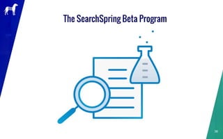 The SearchSpring Beta Program
36
 