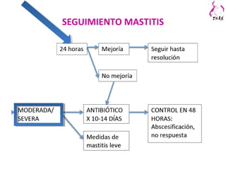 SEGUIMIENTO MASTITIS
 