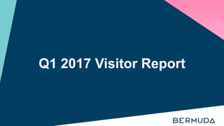 Q1 2017 Visitor Report
 