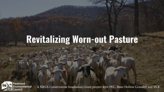 Revitalizing Worn-out Pasture
A NRCS Conservation Innovation Grant project with PEC, Bean Hollow Grassfed and VCE
 
