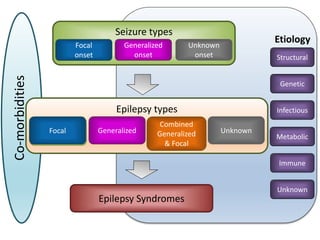 Unknown
Immune
Infectious
Structural
Etiology
Metabolic
Genetic
Co-morbidities
Epilepsy types
Focal Generalized
Combined
Generalized
& Focal
UnknownFocal
Epilepsy Syndromes
Seizure types
Generalized
onset
Unknown
onset
Focal
onset
 