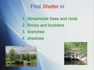 Streamside Rocks 2019 Rivers and Streams Info | PPTX