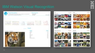 13
IBM Watson Visual Recognition
 