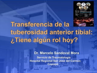 Dr. Marcelo Sandoval Mora
Servicio de Traumatología
Hospital Regional San José del Carmen
Copiapó
 