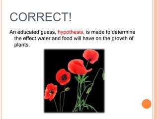 CORRECT!
An educated guess, hypothesis, is made to determine
the effect water and food will have on the growth of
plants.
 