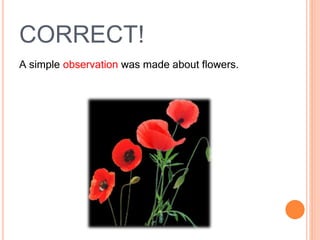 CORRECT!
A simple observation was made about flowers.
 