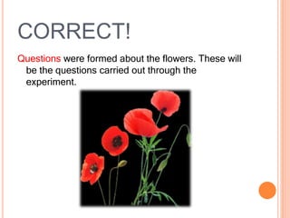 CORRECT!
Questions were formed about the flowers. These will
be the questions carried out through the
experiment.
 