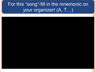 SCIENTIFIC METHOD SONG
 https://youtu.be/ptADSmJCVwQ
For this “song”-fill in the mnemonic on
your organizer! (A, T…)
 