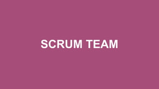 SCRUM TEAM
 