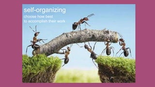 self-organizing
choose how best
to accomplish their work
 