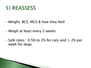  Weight, BCS, MCS & how they feel!
 Weigh at least every 2 weeks
 Safe rates : 0.5% to 2% for cats and 1-2% per
week for dogs
 