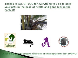 Dr Ken & Bug (aka the amazing adventures of little bug) and the staff of WTVC!
 