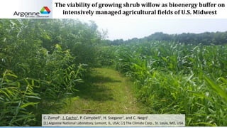 The viability of growing shrub willow as bioenergy buffer on
intensively managed agricultural fields of U.S. Midwest
C. Zumpf1, J. Cacho1, P. Campbell1, H. Ssegane2, and C. Negri1
[1] Argonne National Laboratory, Lemont, IL, USA; [2] The Climate Corp., St. Louis, MO, USA
 