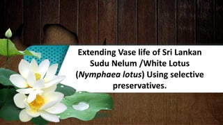 Extending Vase life of Sri Lankan
Sudu Nelum /White Lotus
(Nymphaea lotus) Using selective
preservatives.
 