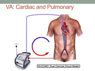 VA: Cardiac and Pulmonary
 